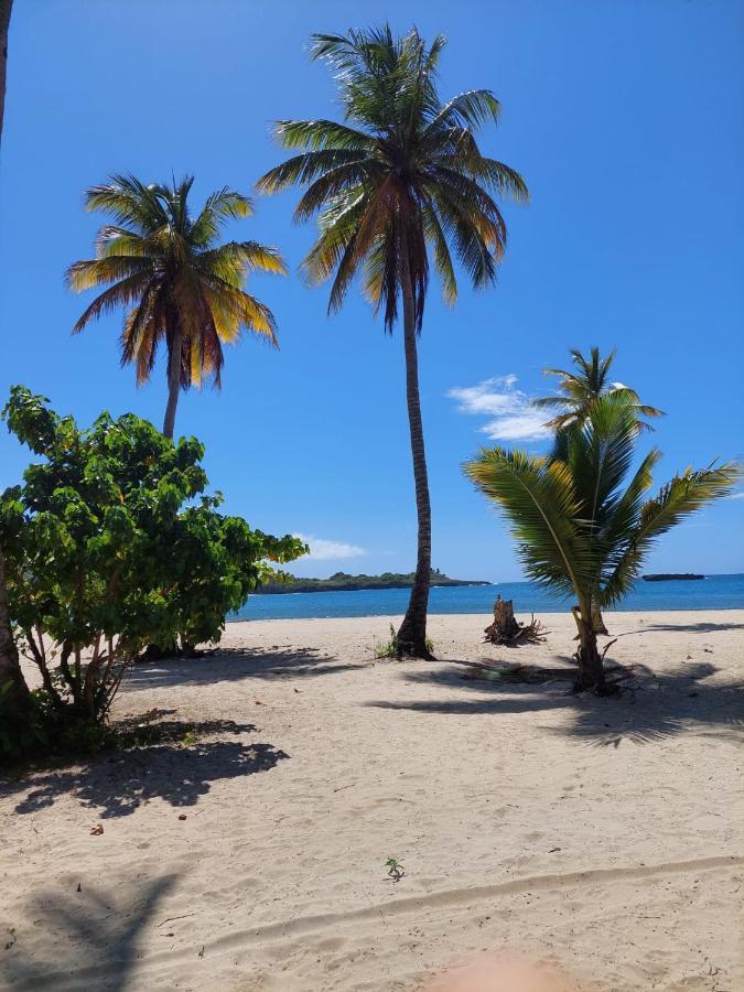 Cabana Playa Cambiaso Panzió Puerto Plata Kültér fotó