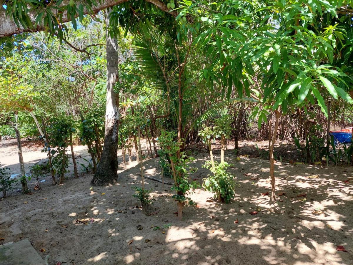 Cabana Playa Cambiaso Panzió Puerto Plata Kültér fotó