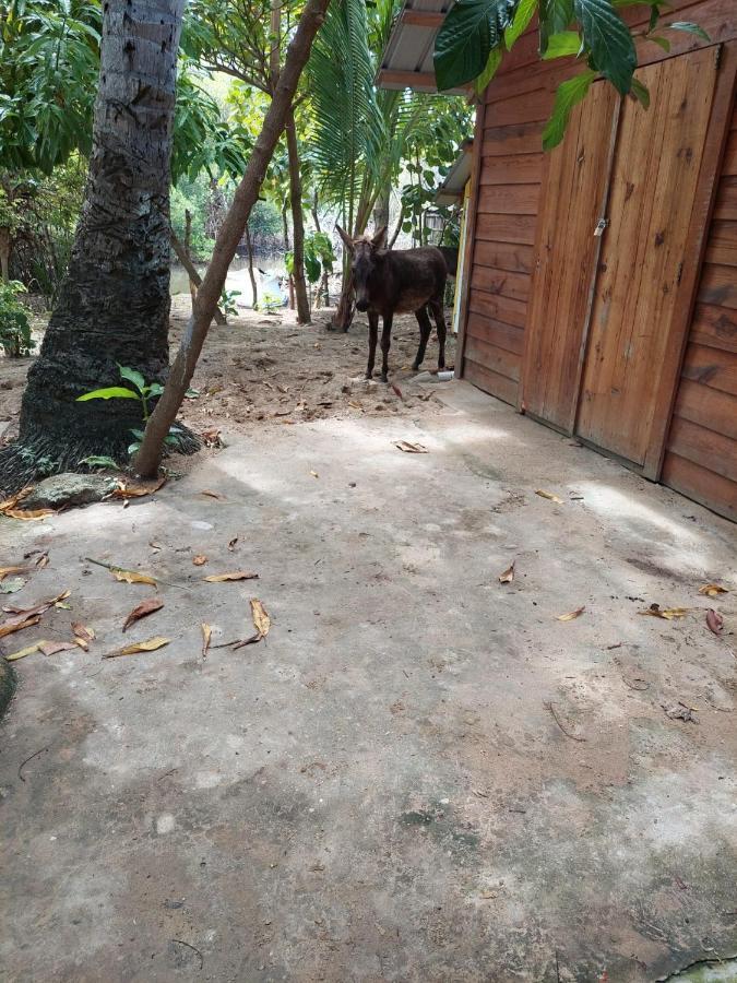 Cabana Playa Cambiaso Panzió Puerto Plata Kültér fotó