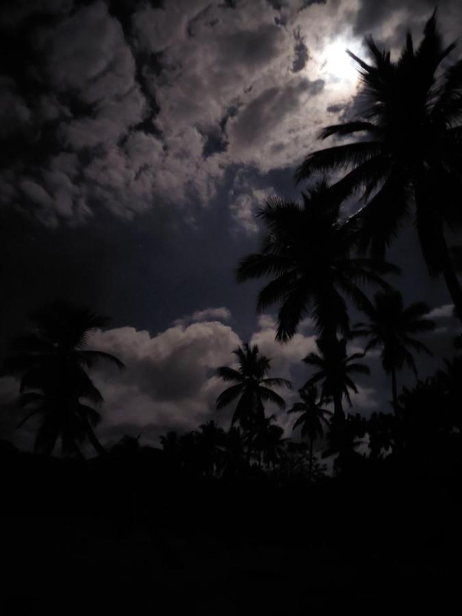 Cabana Playa Cambiaso Panzió Puerto Plata Kültér fotó